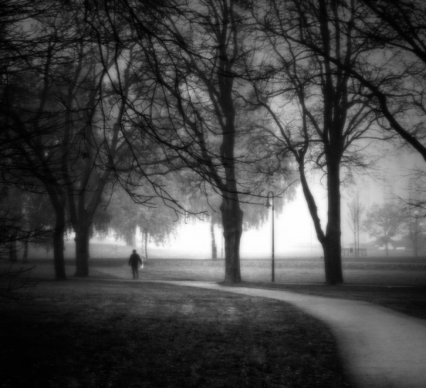 Photograph Andreas Kauppi Untitled on One Eyeland